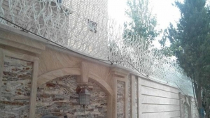 قیمت حفاظ شاخ گوزنی