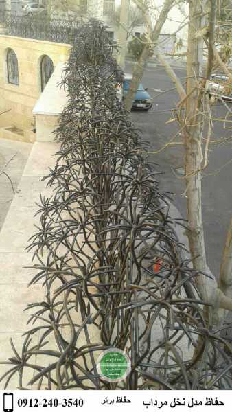 حفاظ نخل مرداب , حفاظ روی دیوار مدل نخل مرداب , حفاظ روی دیوار نخل مرداب , حفاظ روی دیوار مرداب (5)