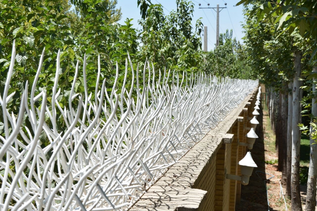 حفاظ شاخ گوزنی , شاخ گوزنی , قیمت حفاظ شاخ گوزنی