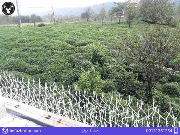 حفاظ روی دیوار , حفاظ شاخ گوزنی , نرده حفاظ شاخ گوزنی