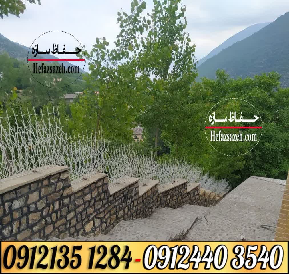 حفاظ شاخ گوزنی